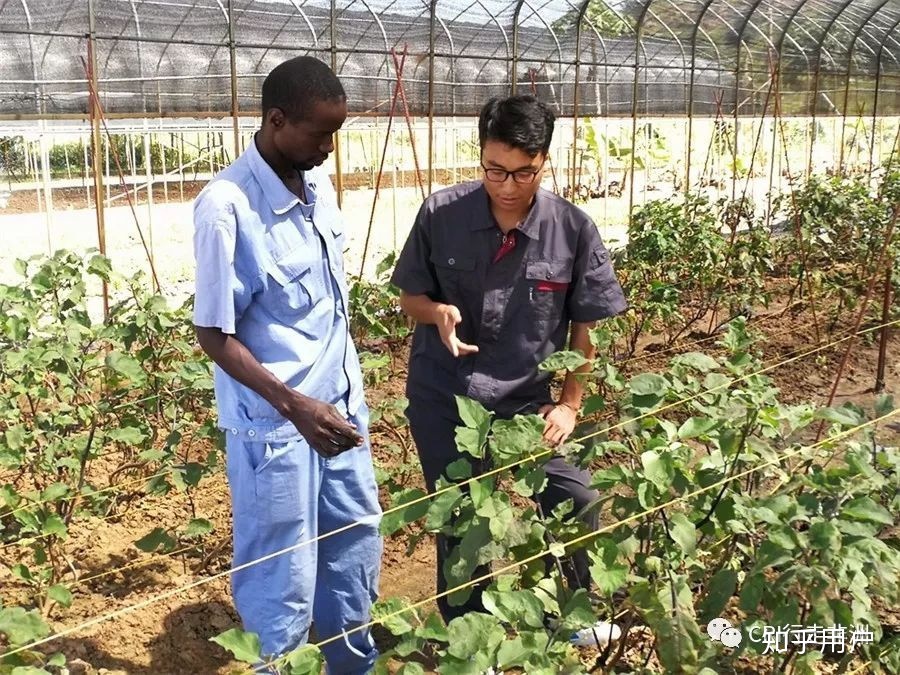 中地海外阿布贾农业高科技产业园